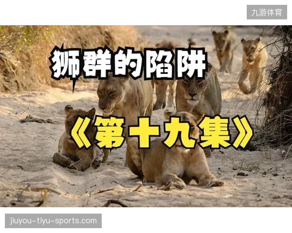 看似清醒的抉择：背后的真相与隐藏的陷阱